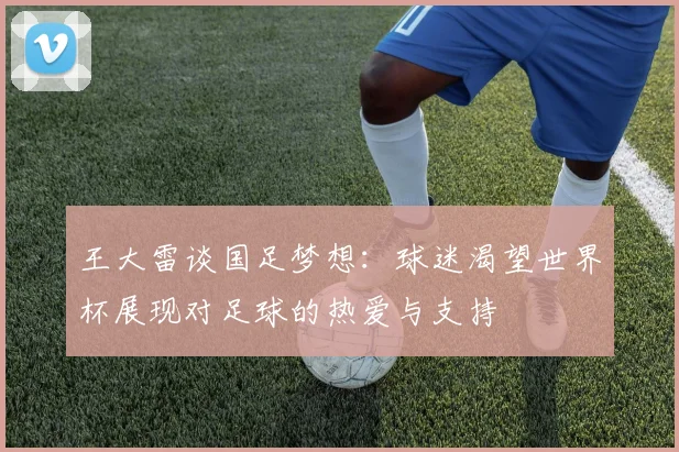 王大雷谈国足梦想：球迷渴望世界杯展现对足球的热爱与支持